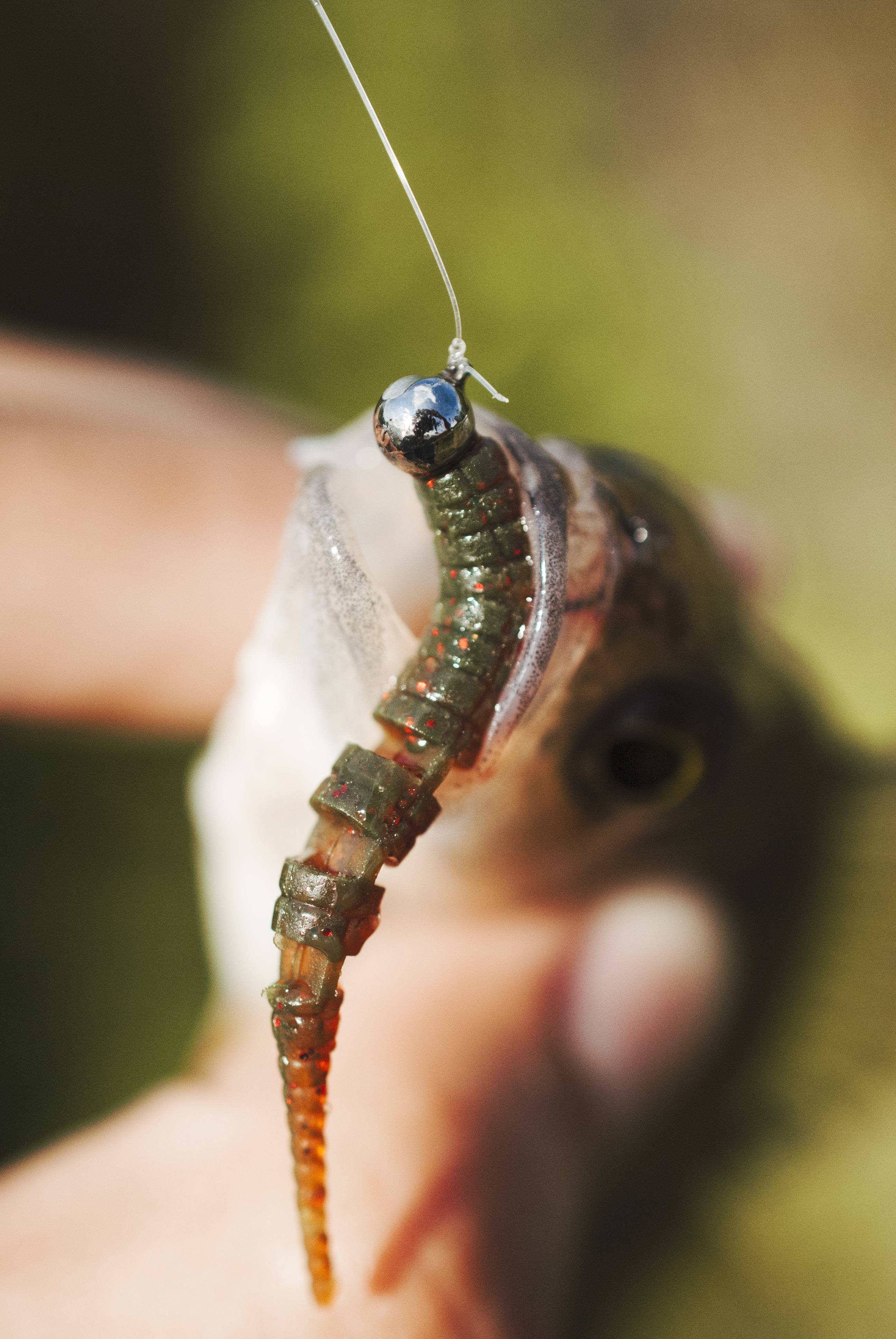 Dry flies